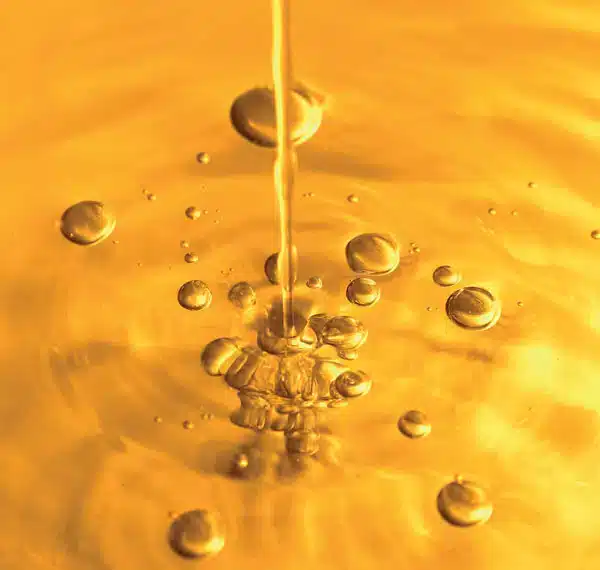 Lire la suite à propos de l’article Oil Plus