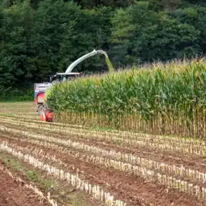 RGT-Exxomik-Maïs-Ensilage