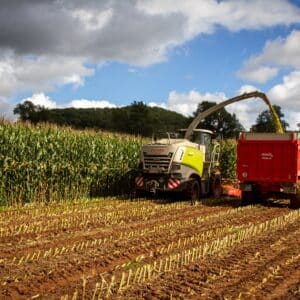 RGT-Kawaxx-Maïs-ensilage