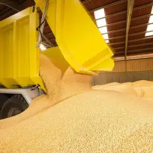 RGT-Oxxygen-DUO-Maïs-grain