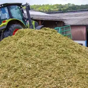 RGT-Rancador-Maïs-ensilage