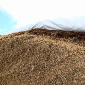 RGT-SENSAXX-Maïs-ensilage