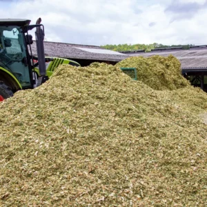 RGT-Valmoxx-Mais-ensilage