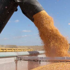 RGT-Attraxion-Maïs-Grain