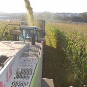 RGT-Frixxby-Maïs-ensilage
