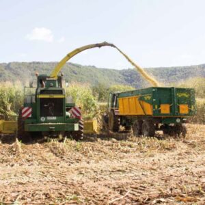 RGT-Hauxxtin-Maïs-ensilage