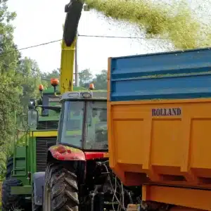 RGT-Lanxxelot-Maïs-ensilage