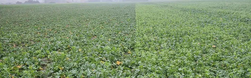 Lire la suite à propos de l’article Secure Install