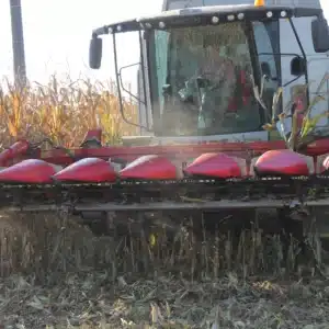 RGT-CONEXXION-DUO-mais