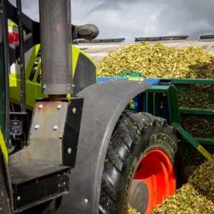 RGT-GEOXX-DUO-mais-grain