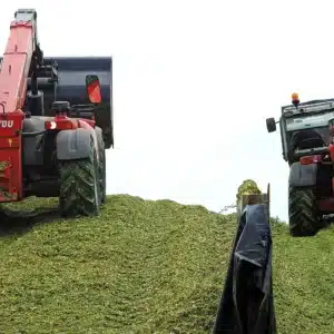 RGT-Xxylophon-BIO-mais-fourrage