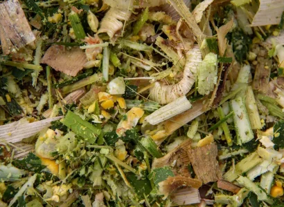 RGT-Exxemplair-DUO-mais