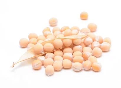 RGT-Iconic-pois-grain