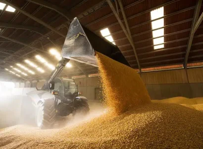 RGT-OXXYMEL-Maïs-grain