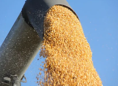 RGT-Rivoxx-Maïs-grain