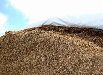 RGT-SENSAXX-Maïs-ensilage