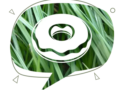 RGT_BAGGEL-ray-grass-fourrageres