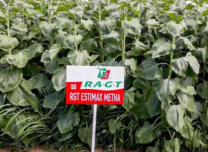 photo-RGT ESTIMAX METHA