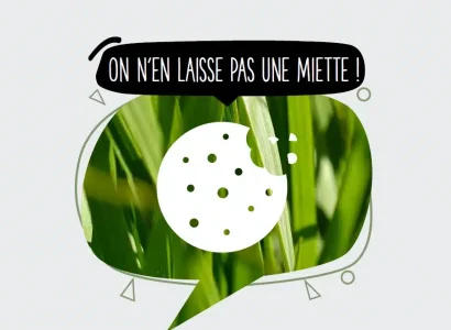 rgt_cooky_ray_grass_anglais_fourrageres