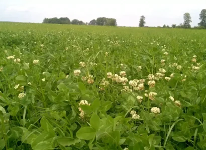 rgt_mix_prairie_70_fourrageres