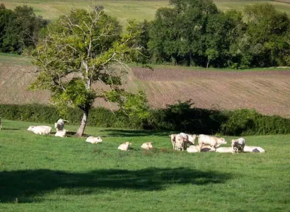 rgt_mix_prairie_70_melange_fourrageres_exploitation_longue_duree